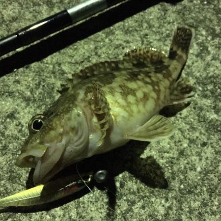 五島でアジングなどのナイトゲームでRIDE ON!!